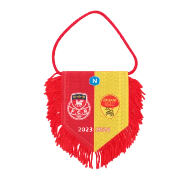 Hercules Merchandise printed pennant