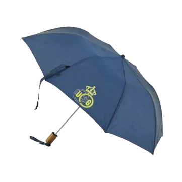 Custom Umbrella